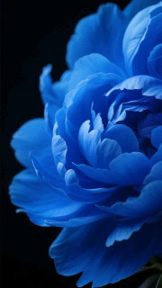 I9iwIS5DJhMXZ_067mJ7ZYjLHo-aZ3fOJf-ZfBe2wjW_HDlq8BFpDlXw5Ragw2Ut-Ux0rdS6sIi9o9f53y_e-cUj