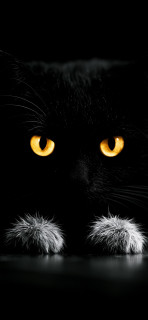 3P2I2nOccHTfZX0dWtbEwwlWAK7SfS0pvuJXxNaSD2YNq5UWjADRTjjVRRAyGYWwZrndyaRpHIZ9gNt1Si_pnt-w