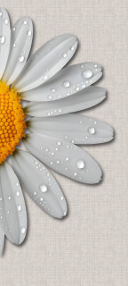 TQI9haGIIMsMsLTseZwGiMwDO3Y1JuFiSLeROcQxSovyqAoRkaDkGnpinujltlb3RLCpQP8JWDOyyk0-1rpZgQoI