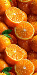 herImI_5bzBAgizp2UhTzIBu53H0GG4oieFhpnggp90rrW48-gVFIFsAsOoXTIupUZlOcpd30xg28vf_awLl10q3