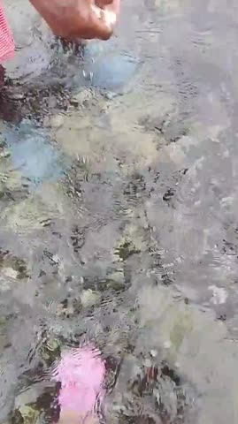 video_20260123_125456-pressed