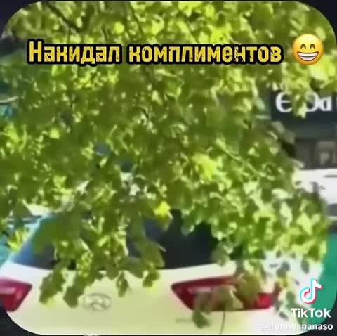 0b49b7f0bf906c3df9ec1d8831a58640