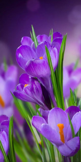 KS5fN2U8Asy6wzd_YyBmE9JmdDRYiX_p14HCN50p-p5QtJEukQJADtYJAx1_7IE_DP-Mw7s2GTuiWHw2pDAdbR