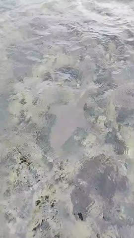 video_20260123_130659-pressed