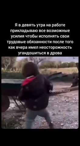 VID_20260723_221810_030