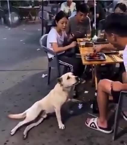 VID_20260723_222857_647