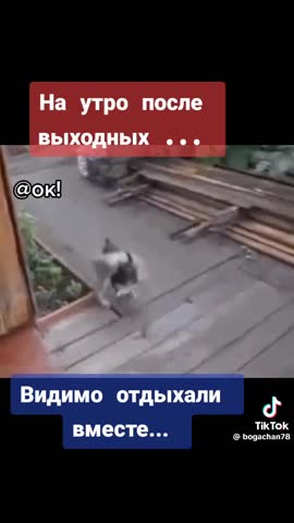 be7e21a5519c14981ba66ec1fcf29515