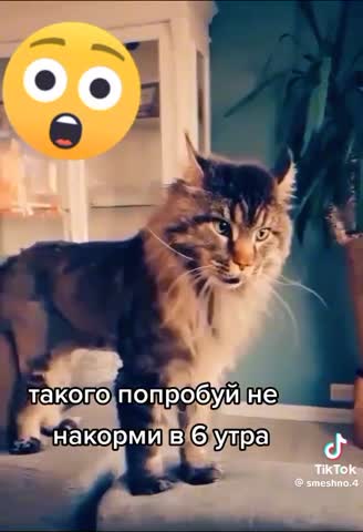 adef302144759e873c1bf022420decf1