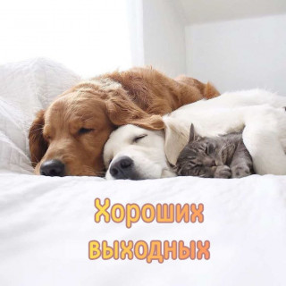 IMG_20260726_193607_149