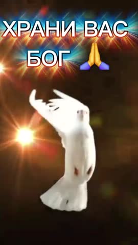 video_15856005158203