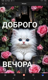 -Добрый-вечер-
