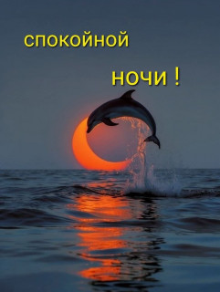 -Дельфин-