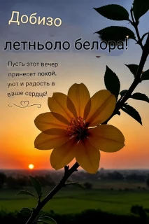 -Добизо-