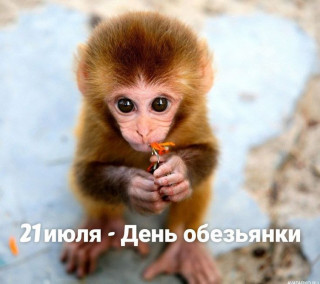 -Обезьянка-