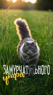 -За-МУР-чательно-