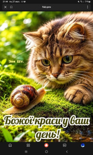 -Улитка-и-Котик-