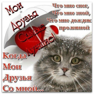 -Мои-Друзья-