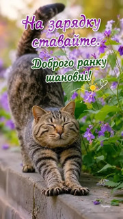 -Зарядка-