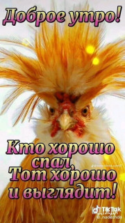 -Так-и-есть-