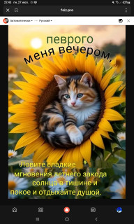 -Подсолнух-