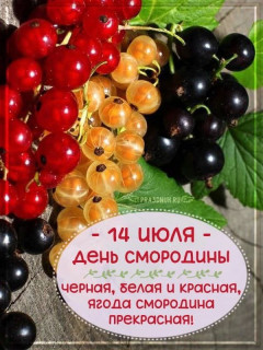 -Смородина-