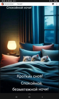 -Безмятежная-Ночь-
