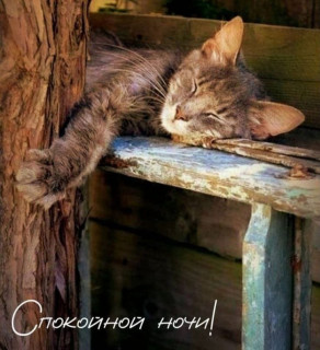 -Добрая-Ночка-