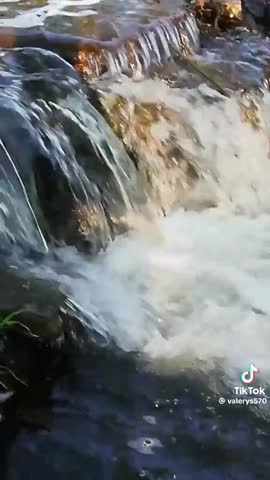 1c6b8cbf89716c08369cdfbd2d9bf350
