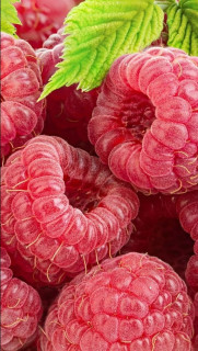 OGj4ua9hTFkmCrtfMRGt0q019wg6coCTYOtfuWdtQQ4ZTwK_HO3zUEz2gX5E02s0bPQQb3882Vek6aROkW7eg-mL