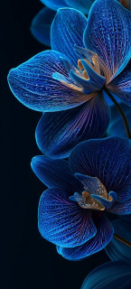 SRGuf9l2rDjpQFZ1IeiPbyeSAY6iCIieppuoK72lrhfutqn7SgJ4g3vYokC7DeGbIQmexVV_5x_9T1clYpAQGJnf