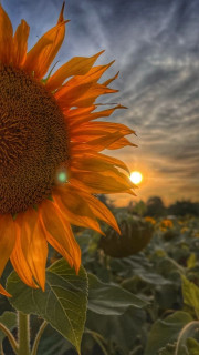 0Py9dXA8o7ymEw19pAoXhvtFe5R6H9EMCNHE1c0gHFoRSHe6dkjDoOW9DcjBpynZ7bE2auIzZ17TVua7xY7BeMFF