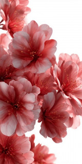 NWRl2HUvb5b5RrzfIPPoPt6jDlCZLkpYvIksvPW3y1IOrsZgkmhrfSo6g6EQRJm1WCeq06sxZB_Q4rAToV3ZGAi8