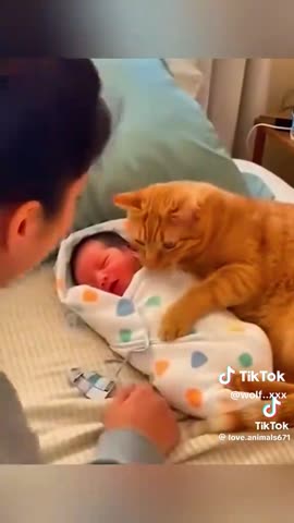 Коты и дети