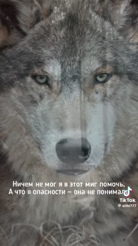 8adf22618108f7115636993e95bd88b7