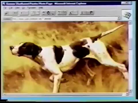 VID_20260802_071506_961