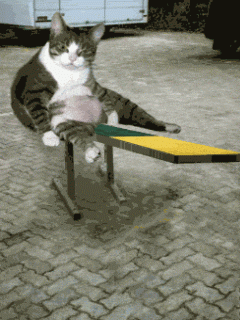 2283