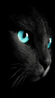 BZ0MdXm30IR-Iva4ar0PuyM-HIrLgOrSQYaVdB4nuSkM0w3GOKcn62iFbHi7L0YzQ-9TRV1wBz1gGrJhQ99b_L94