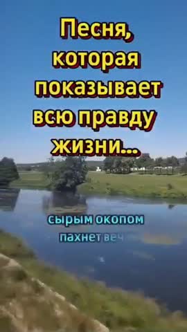 video_15730541139226