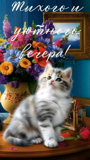 -Котик-