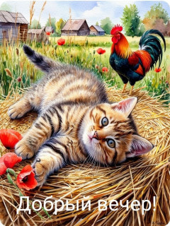 -Котик-и-Петух-