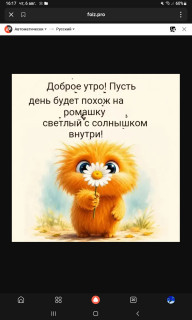 -День-Ромашка-