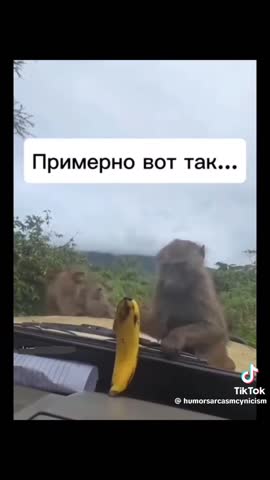 df9ab99bbfde8f1ddeba74a81cdd4216