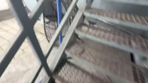 VID_20260809_085802_009
