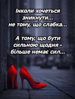 FB_IMG_1786505446888