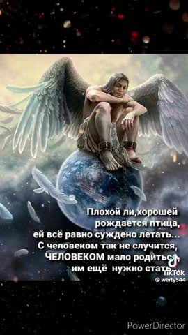 b5ed2a051231fd556bc414637c69941f