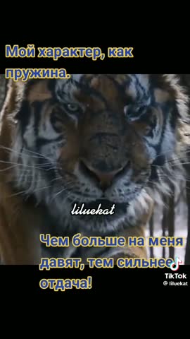51e41653ed788527d297ecf9de6f3a9c