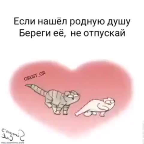 c6f6a10169a2715953525cfb26e4cfbd