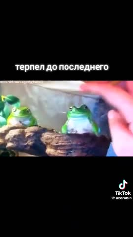 063de2e799e85adefcf9e3175c022beb