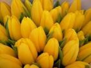 images-25