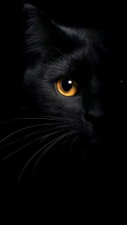 jvVQWiM7_6f85Ugw8YTvO8mUH_fBDt14upNjQiic8K6Pj2xAt5uPcM1asMnYPAi1ROCsdAjveiXBegw7IfhAiA-Q